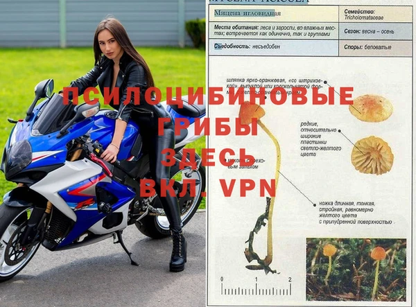 каннабис Нягань