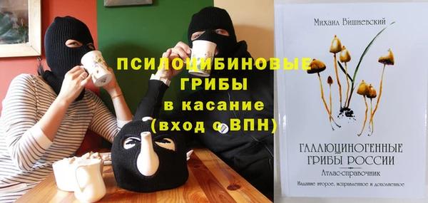 бошки Болхов